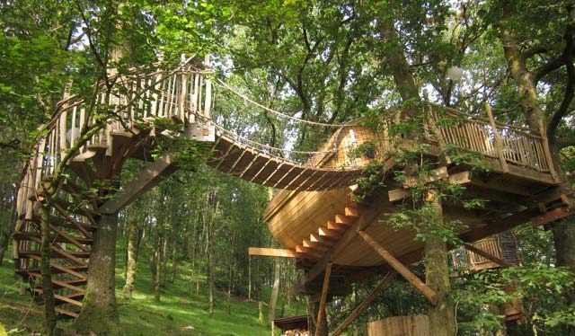 Cemmaes Tree house idea