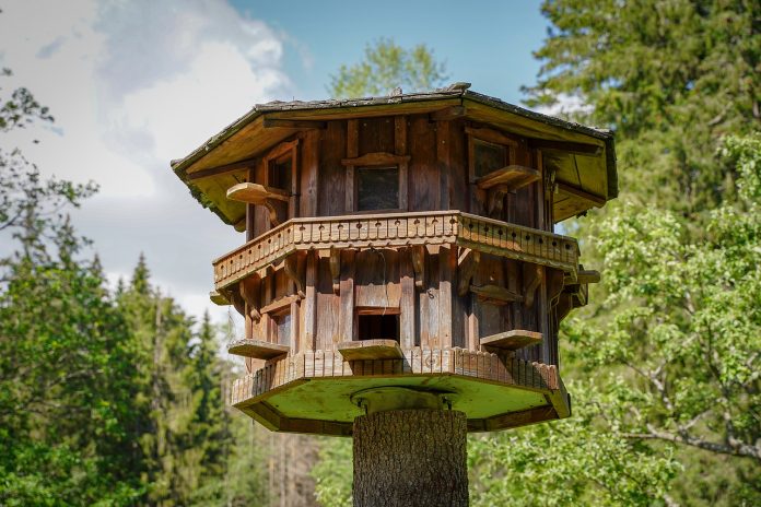 Best DIY Tree House Designs 2021 - Attention Trust