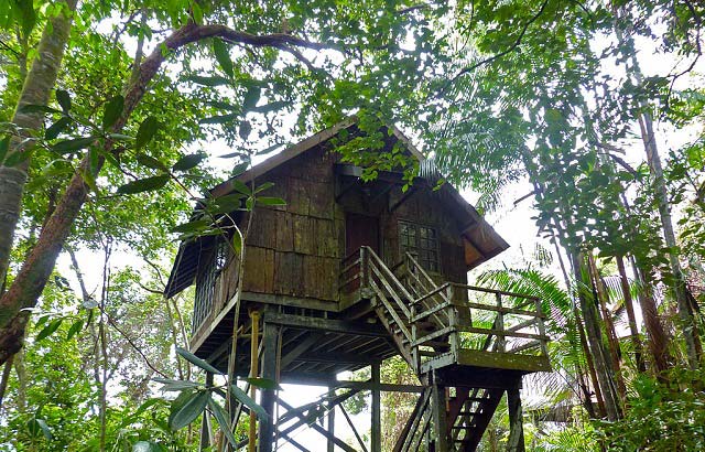 Old Kids Tree-House