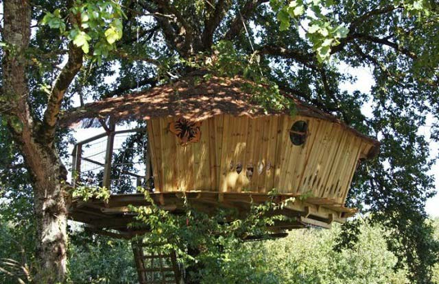 Summer Tree House