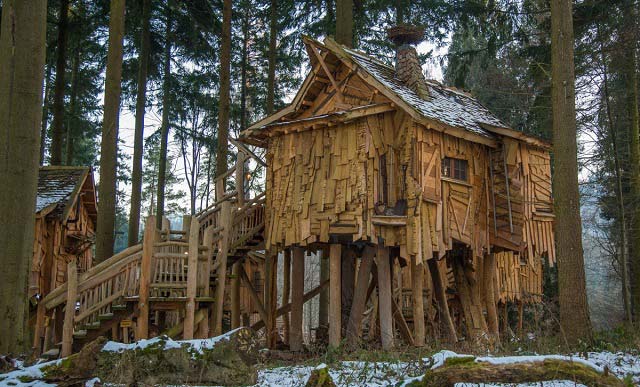 images of tree houses