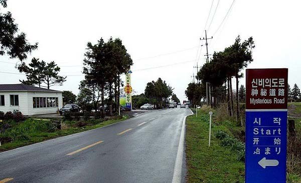 Unique Roads In The World