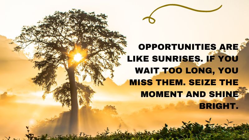 life changing opportunity quotes