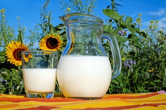 Milk - foods cause gerd