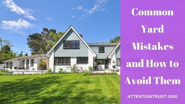 common yard mistakes