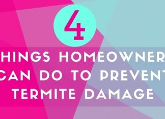 Prevent Termite Damage