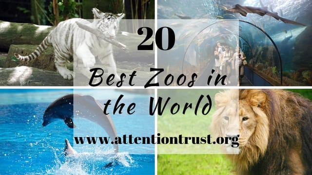 Best Zoos in the World
