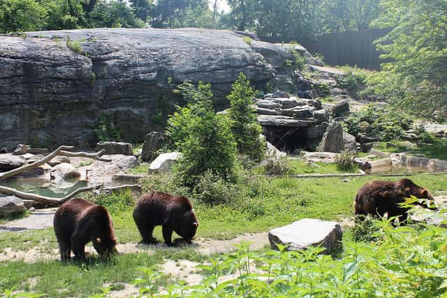 Bronx Zoo - largest zoo in the world