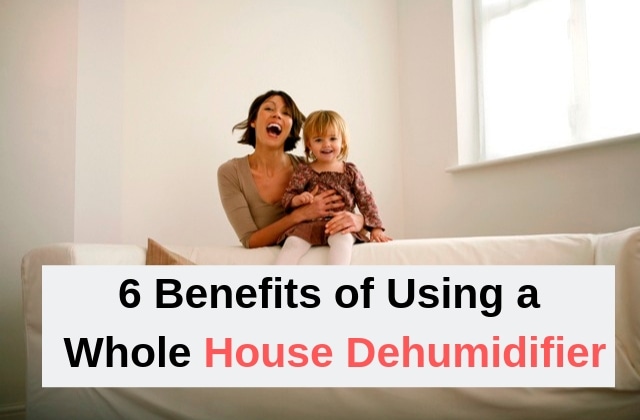House Dehumidifier