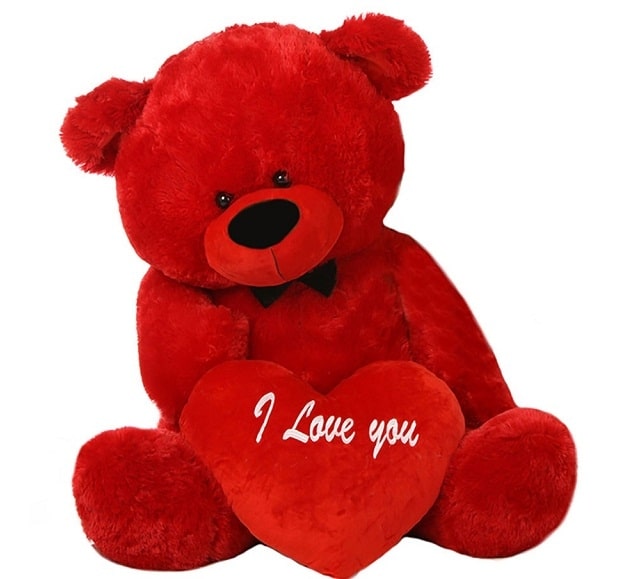Teddy Bear - valentine' day gift ideas for girlfriend