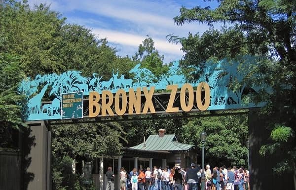 Best Zoos in the US