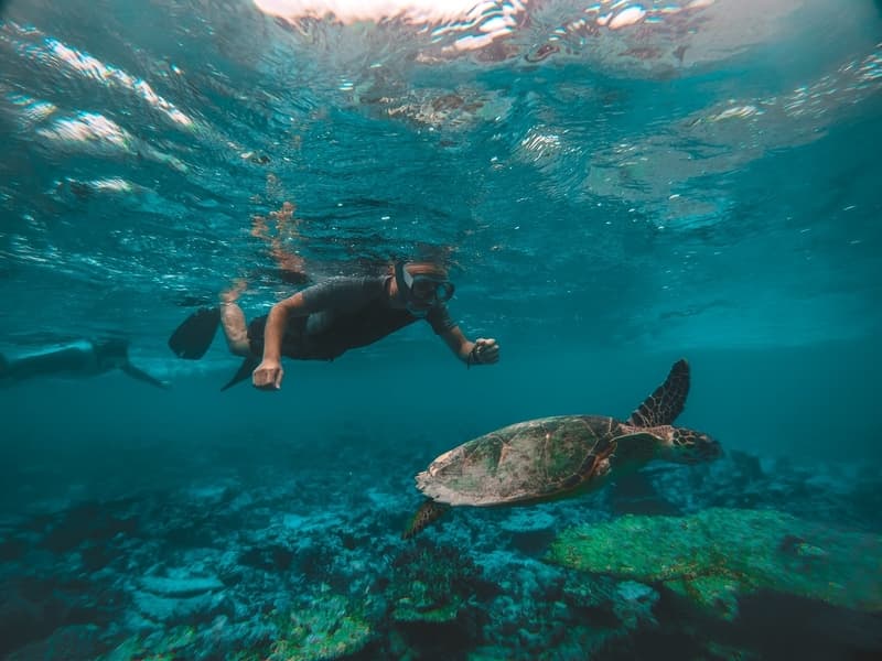 Getting from Cairns to the reef