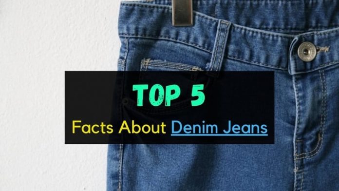 Top 5 Facts About Denim Jeans