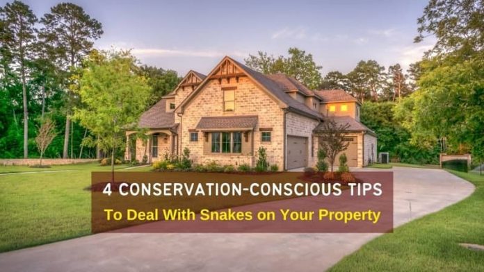 Snakes on Your Property