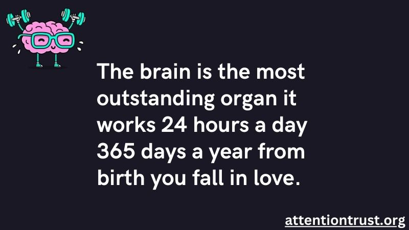 brain quotes about life