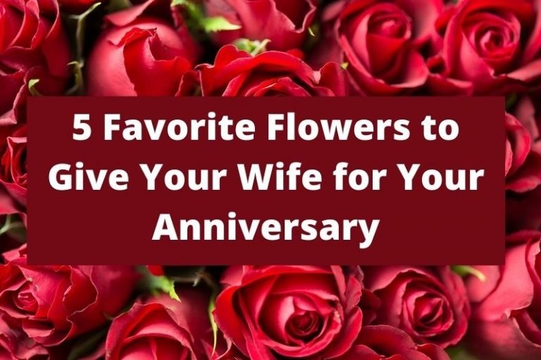 5 Favorite Flowers to Give Your Wife for Your Anniversary Attention Trust