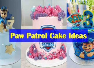 50+ Paw Patrol Cake Ideas for Boys and Girls - walmart paw patrol cake