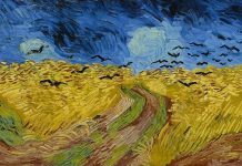 Vincent van Gogh's Paintings and Complete Catalog of Works